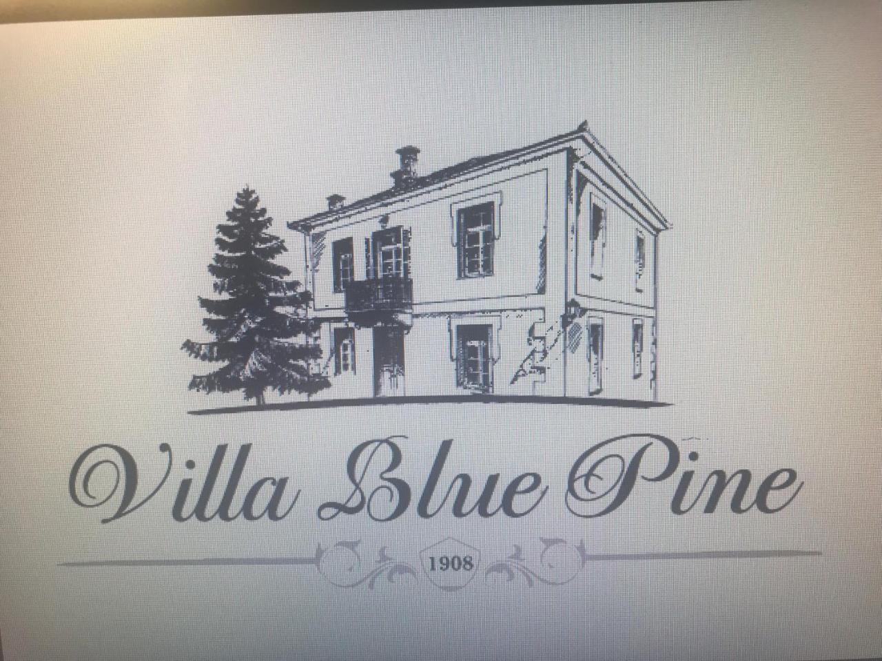 Villa Blue Pine Πορταριά Εξωτερικό φωτογραφία